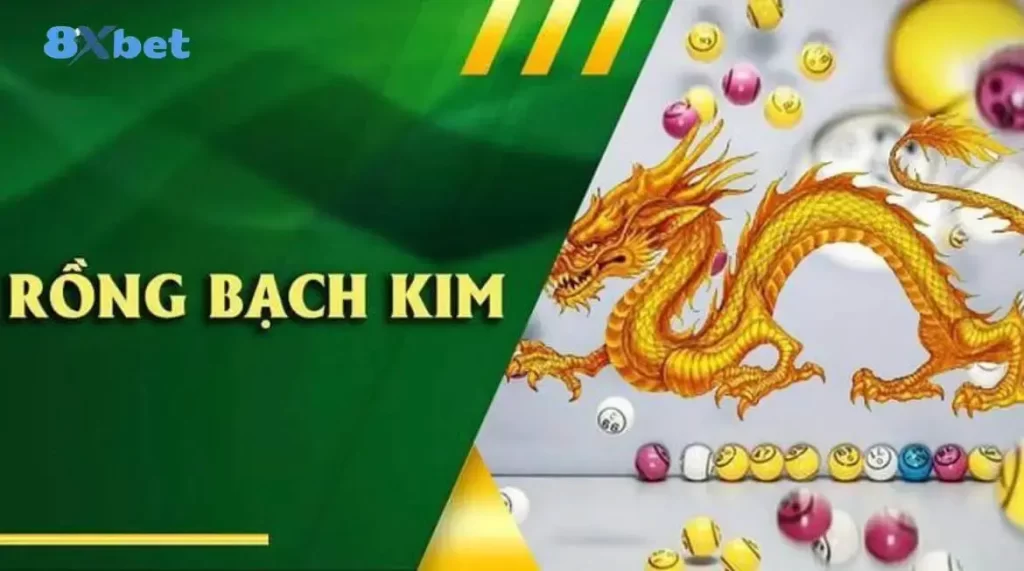 Tìm hiểu khái niệm rồng bạch kim là gì?