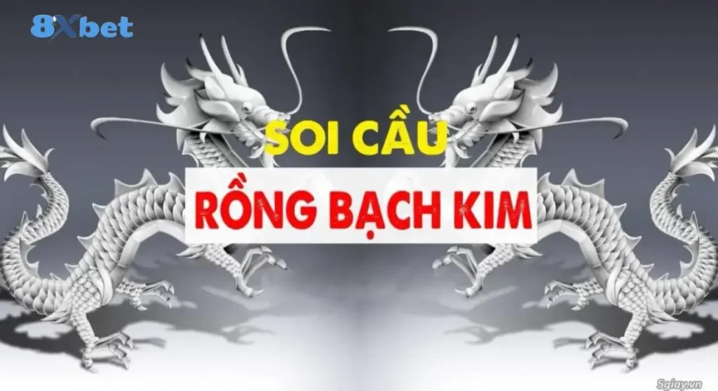 Áp dụng ngay những kinh nghiệm soi cầu Rồng Bạch Kim để thắng lớn