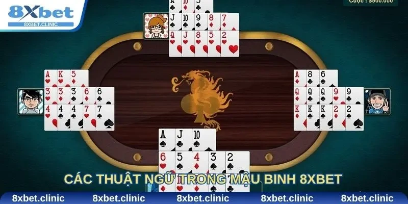 Các thuật ngữ trong Mậu Binh 8Xbet mà cược thủ nên biết